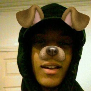 Meet your Posher, Jerry